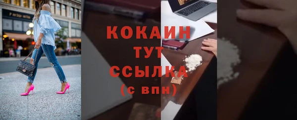 соль ск Абаза
