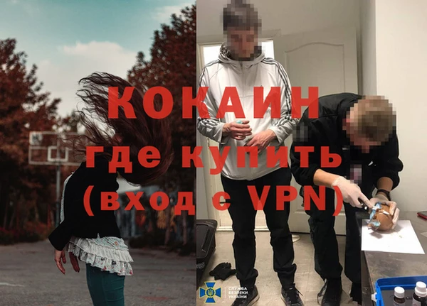 стафф Алексин