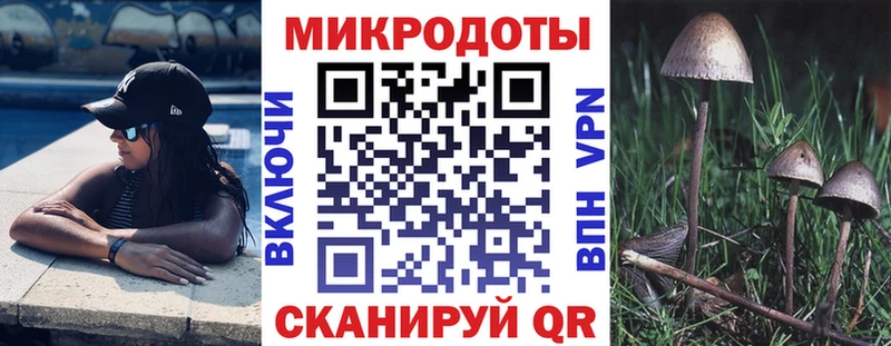 Галлюциногенные грибы Psilocybe  Красноармейск 