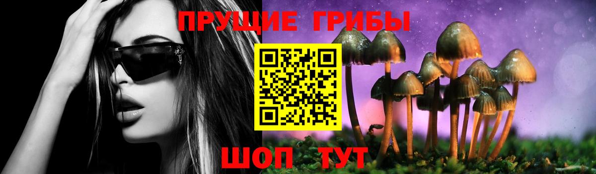 Галлюциногенные грибы прущие грибы  Вход с VPN  Красноармейск  Галлюциногенные грибы мухоморы 
